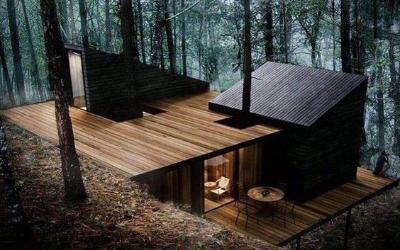 Forest House 