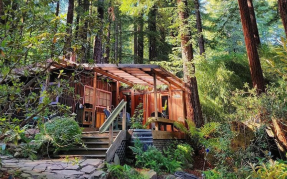 Rustic Cottage in Sonoma Redwoods